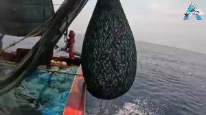 Сардины океанского урожая и красный окунь на лодке,