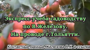 Экспресс-учеба садоводству по В.Железову. На проводе г.Тольятти.