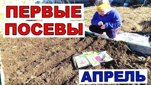 Никогда так рано это не делала. Что посеять в апреле_ И на грядку и на рассаду