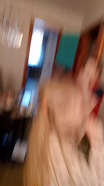 дискотека века