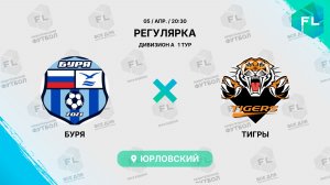 Буря - : - Тигры