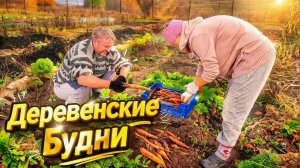 КУПИЛИ ДОМ В ДЕРЕВНЕ | Деревенские будни | Дом в деревне | Семья в селе