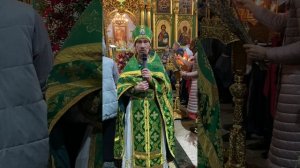 Проповедь архимандрита Зосимы. Вход Господень в Иерусалим. 05.04.2026#саморазвитие #проповедь