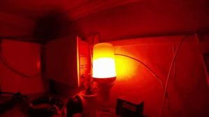 ОГОНЬ Видео Ночник со Звуком FIRE Video Night Light with Sound [get.gt]