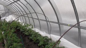 Сколько стоит ночь обогрева теплицы ИК обогревателем? У всех по разному! У меня 64 р. 2022 год.