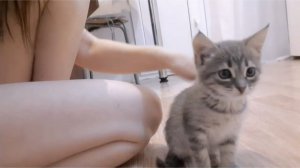 теперь кто-то мурлыкает дома
старое видео