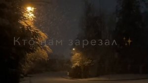 у видиво тэ налэн запэндо чекаи и описания