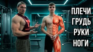 Мышцы станут БОЛЬШЕ: почему тренировки новичка и опытного атлета должны отличаться