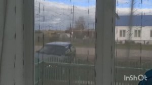 Живём в деревне, мои хризантемы. архивное видео