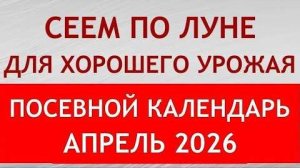 Апрель 2026: когда сеять рассаду? Лунный посевной календарь по дням