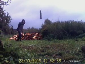 УКЛАДКА  ДРОВ ГРАМОТНАЯ УКЛАДКА СЫРЫХ ОЛЬХОВЫХ КОЛОТЫХ ДРОВ