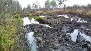 Мещера 2025. Пеший поход.