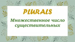 PLURALS Множественное число существительных в английском.