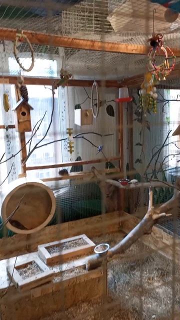 Зверополис🥰