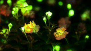 Эпоха «Биолюминесцентного консенсуса»