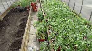 Эта погода разрушила все мои планы! Я "ВКЛЮЧИЛА УСКОРЕНИЕ"! 5.04.2026.