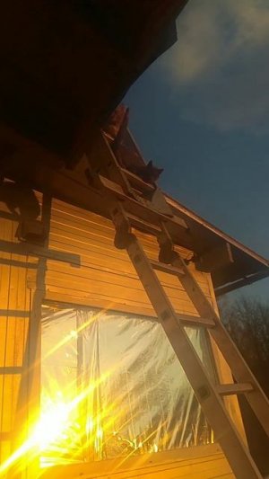 А какие приколы выкидывали ваши кошки?
