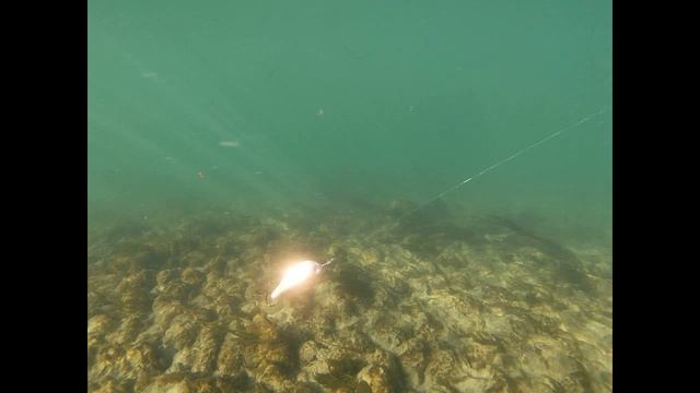 игра байкала