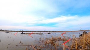 РЫБАЛКА НА ПОПЛАВОК - КАРАСИ СЛОНЫ В ДРОВАХ!! ОБЫЧНАЯ УДОЧКА, ГУСИНОЕ ПЕРО И ЧЕРВЯК НА КРЮЧКЕ