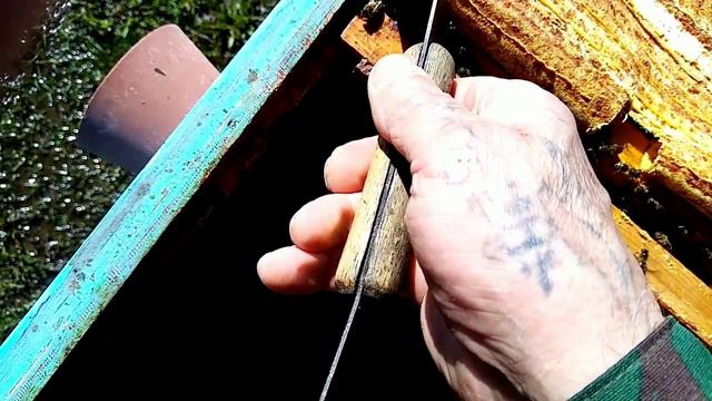 Пчёлы.Развитие слабышей ранней весной Важные .ранневесенние работы. на пасеке.