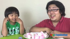 Marshmallow in a vacuum Easy Science experiment for kids