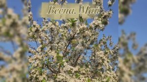 Весна. Май || Фотоблог