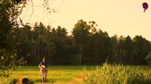 Как приготовить традиционную для меня жареную овощную кашу с карри и травами, лапшу с креветками .