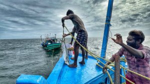 ВАУ! Мы долго путешествовали по открытому морю и ловили тунца