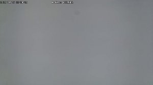 LIVE: channel43489494