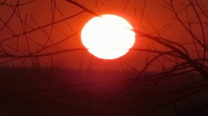 Солнышко греет, лечит, обнимает