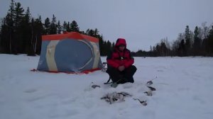 Сутки на льду река ЕТЫПУР под мостом!!! СОРОГА КЛЕВАЛ КАК ИЗ ПУЛЕМЕТА)))