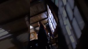 Влог из Воронежа