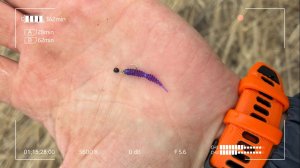 Вот это Годзилла на крючке! Достану?