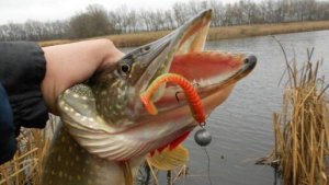 Ловля щуки ранней весной.