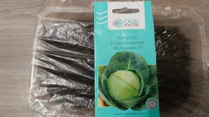 🥬 4 апреля 2026. Посеяла капусту на рассаду