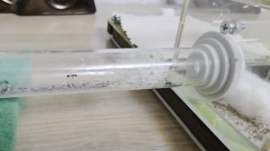 Жизнь муравьёв. 6 серия.