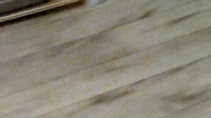 у меня духвостка я ночью одна в зале..... :_(😨🥲😭😭😭😭😭