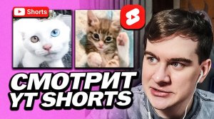 БРАТИШКИН СМОТРИТ ЮТУБ ШОРТСЫ СО СМЕШНЫМИ ЖИВОТНЫМИ И Т.Д