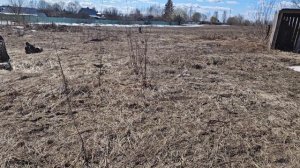 наш участок🌿/дачный сезон открыт🫡