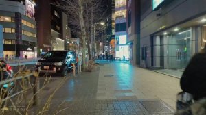 Токио Япония 2026 Пеший тур по проспекту Мэйдзи Кэт стрит и главным районам города