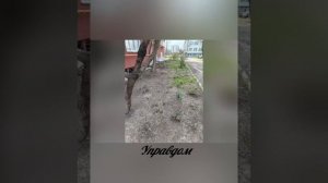 Субботник в Ильичевском районе.