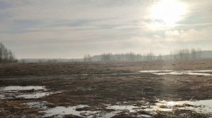 Весна. утро. 5 апреля