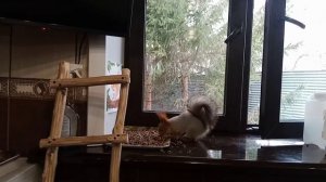 раннее утро