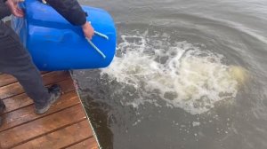 copy_CA434B92-7EC6-4D63-8B3A-FD3E12F20E88