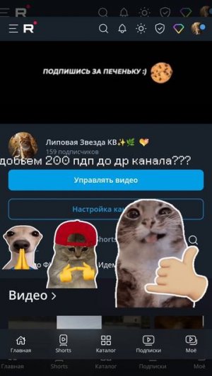 Добьем?? 🥺🥺🥺