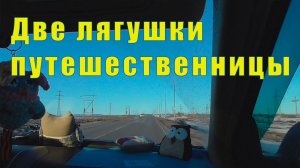 КИРОВСК/ ПОПАЛИ В МУЗЕЙ - А ЗАТЕМ И  В МОНЧЕГОРСК / 24 марта 2026