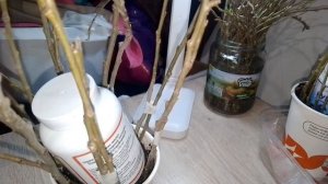 5 Посадила забор и запела пальму|Русская Ива|ОБЫЧНАЯ ЖЕНЩИНА