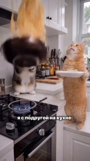 Клип @men_mne_eto_nravitsa