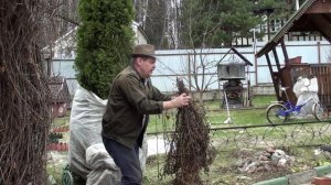 Раскрыл любимые розы и туи// Помыл беседку// Первый Весенний дождик