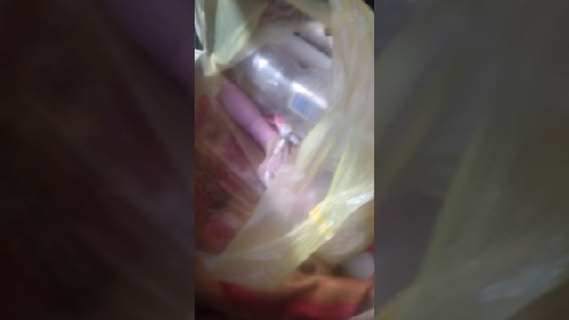 ✨𝚛𝚎𝚋𝚘𝚛𝚗 𝙳𝚘𝚕𝚕☀